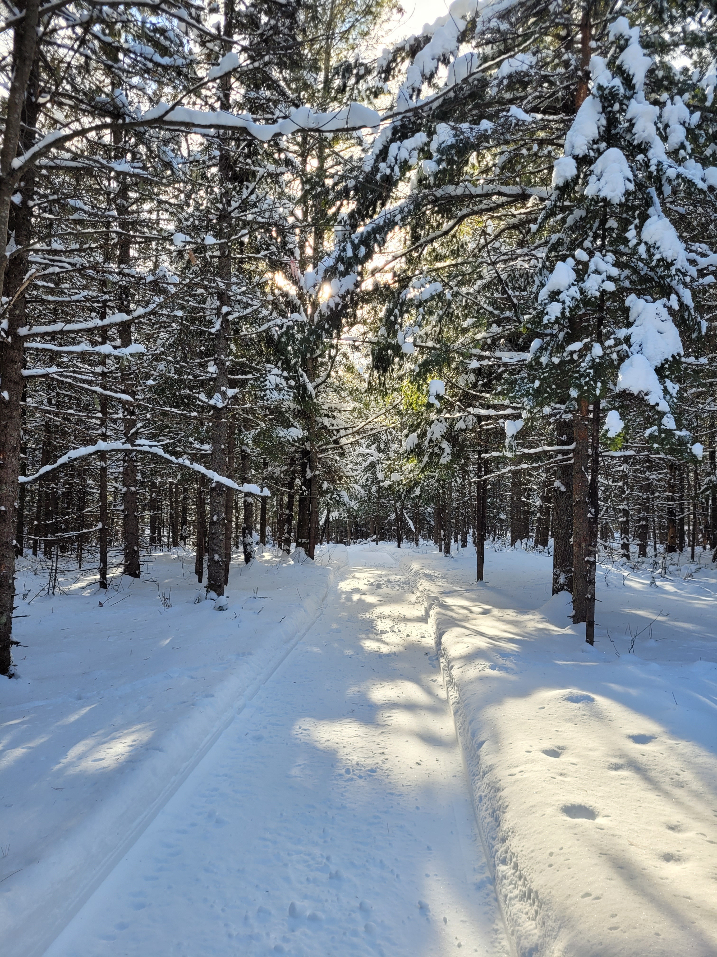 sentier d'Auvergne