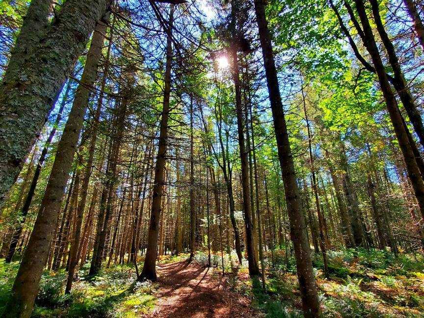 sentier d'Auvergne